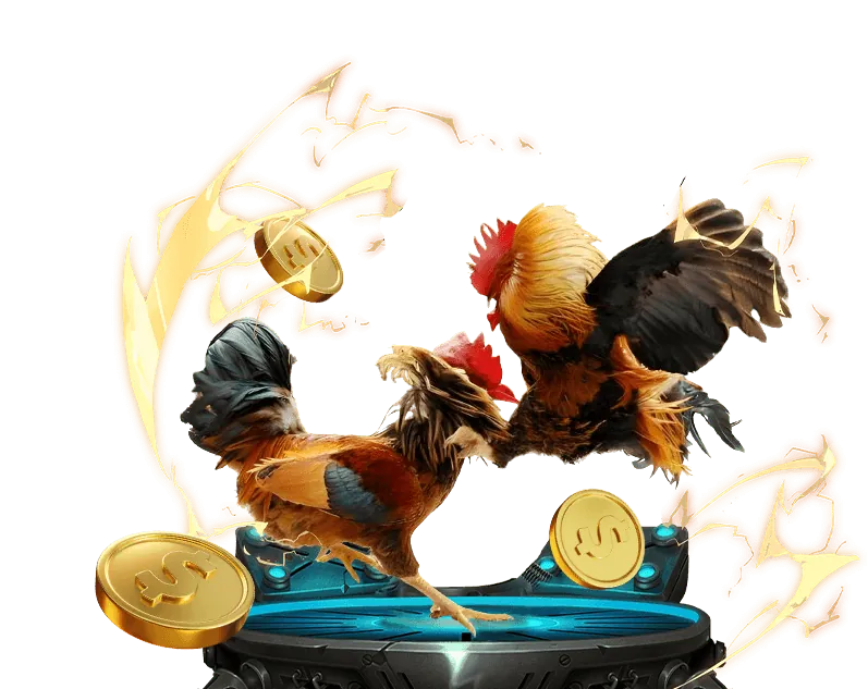 Lợi ích của việc xem đá gà trực tiếp